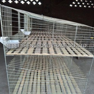 Hot salg for Kina høykvalitets rustfritt stål kattebur for kjæledyr