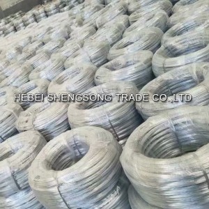 OEM/ODM Verskaffer China Warm gedompelde gegalvaniseerde ysterkern Draad Tipe Skeermes Barb Wire Omheining Bto-22