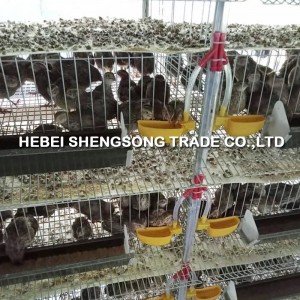 Rapid Delivery for China Automatic Commercial Quail Cage Broiler Cage Automatic