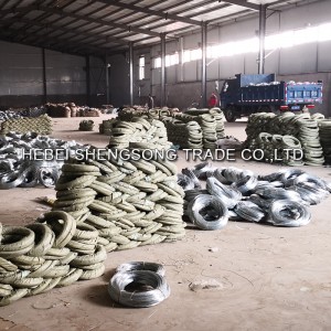 OEM/ODM Supplier China Hot Dipped Galvanized Iron Core Wire Type Razor Barb Wire Fencing Bto-22