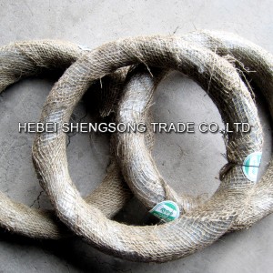Nhà cung cấp OEM / ODM Trung Quốc Loại dây lõi sắt mạ kẽm nhúng nóng Hàng rào dây thép gai Bto-22