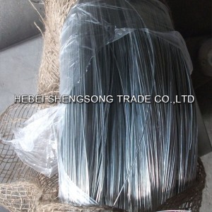 OEM / ODM Supplier China Hot Dipped Galvanized Iron Core Wire Type Raséierapparat Barb Wire Fechter Bto-22