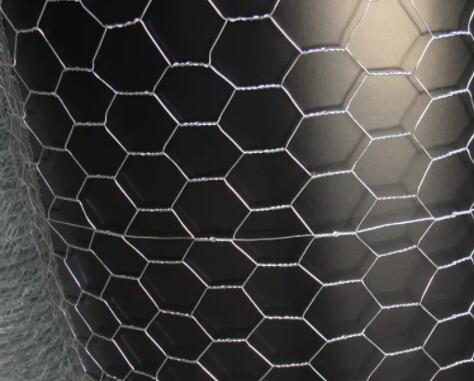 Galvanized hexagonal net to order