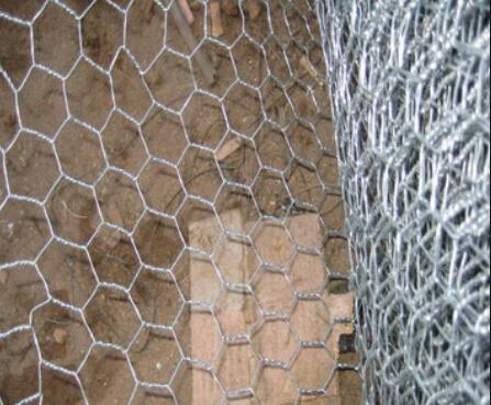 galvanized hexagonal net