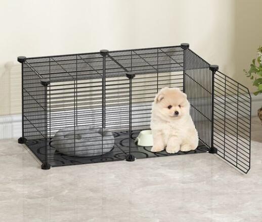 Choose a pet carrier that fits your dog