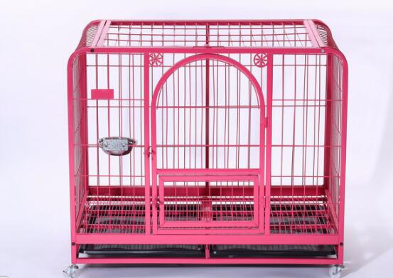 It is time to choose a superior quality pet carrier for your pet