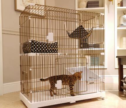 Novelty shape of the cat cage