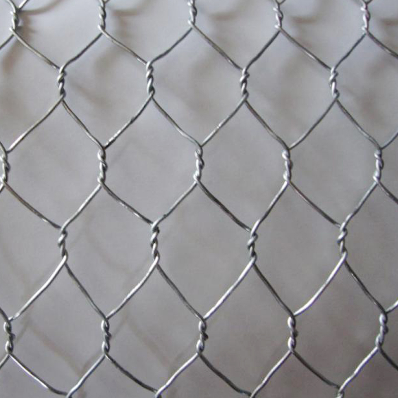 Fast delivery 60 Microns Stainless Steel Wire Mesh Sieve - Hexagonal Wire Netting – Shengsong