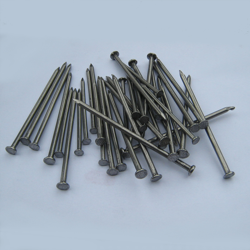 Factory Price Rubber Washer Roofing Nails Making Machine - Common Nails – Shengsong