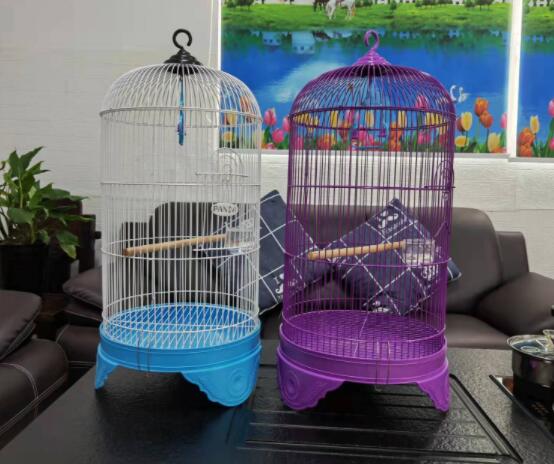 How to choose a cage suitable for a parrot to live in