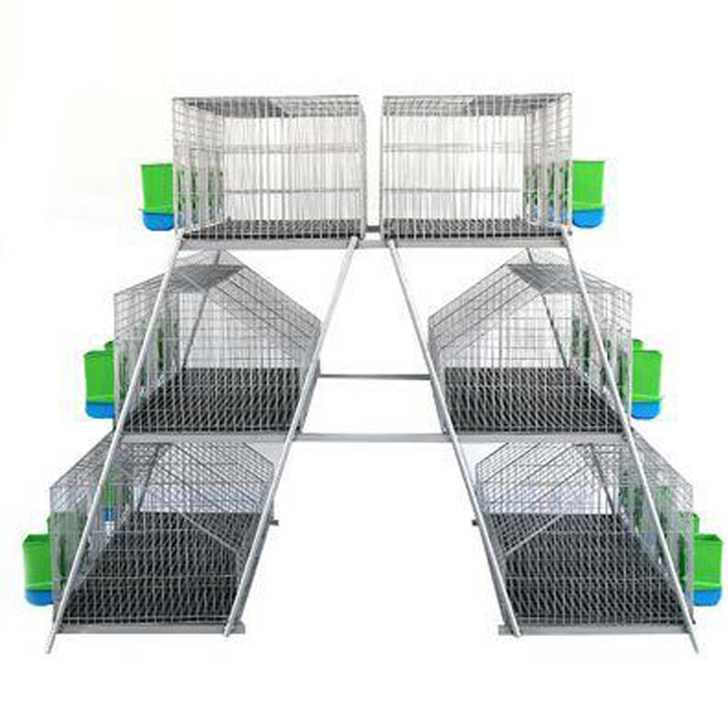 Leading Manufacturer for Poultry Cage Layer - Rabbit Cage – Shengsong