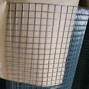 Professional China Heavy Duty Galvanized Welded Wire Mesh for Thailand