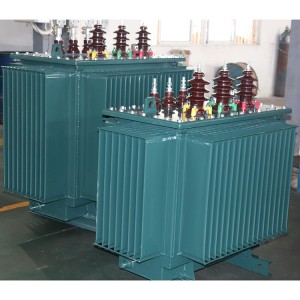 S11-M-800/10  Oil immersed fully sealed outdoor  distribution power transformer ONAN