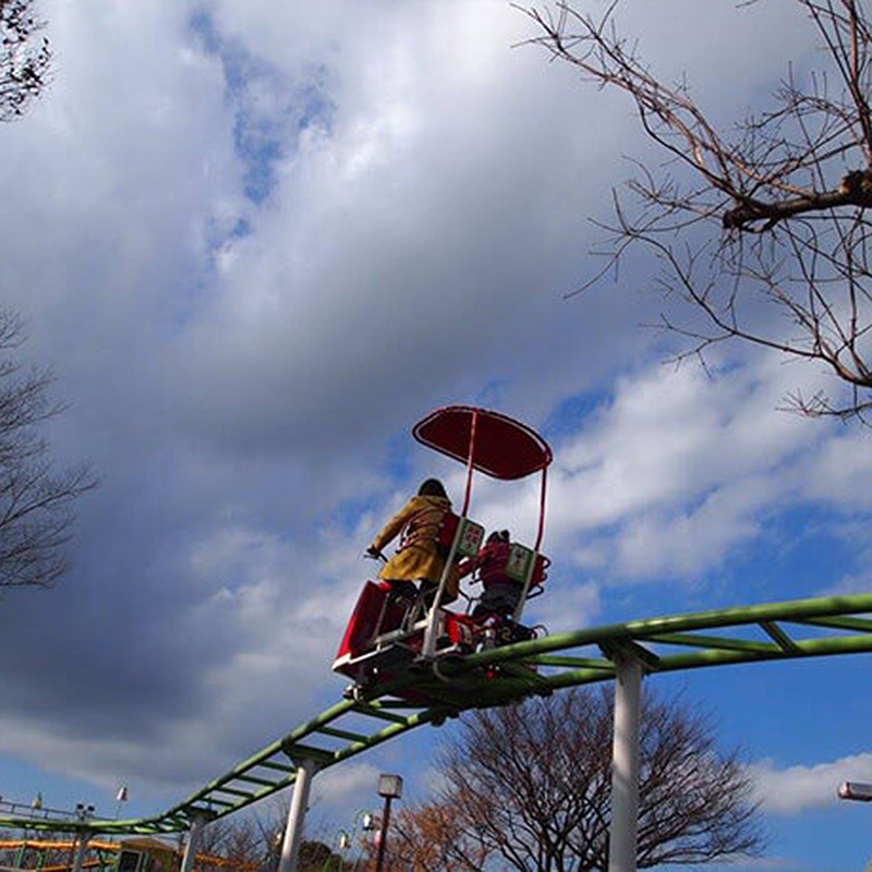 Amusement Rides Monorail Ride Sky Bike