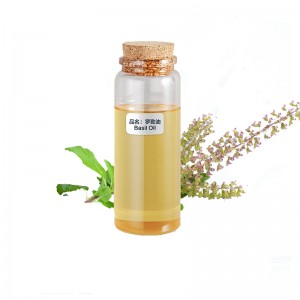 Pure natural aromatherapybeauty skin care massage Clove Basil leaf essential oil