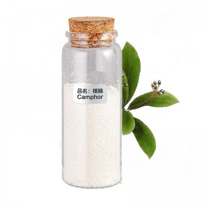 factory camphor powder cas 464-49-3 pure natural camphor