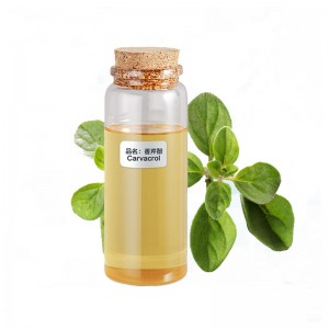 Best wild oregano Oil cymophenol origanum minutiflorum 90% organic carvacrol