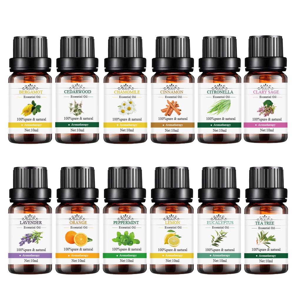 Wholesale Price China Assorted Essential Oil Set - Therapeutic Grade Aromatherapy 12 pcs pack Essential Oil gift set for for Diffusers and Massage – SenHai