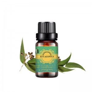 Undiluted 100% pure eucalyptus essential oil natural oil for diffuse steam distilled