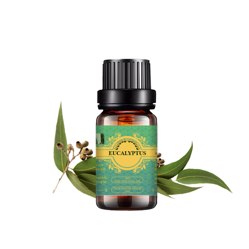 Undiluted 100% pure eucalyptus essential oil natural oil for diffuse steam distilled Featured Image