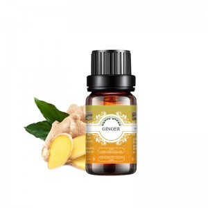 Natural Warm and spicy ginger essential oil for loss weight and hair regrowth