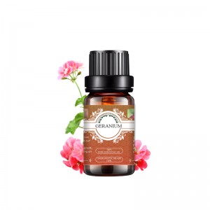 Geranium essential oil organic plant and 100% pure therapeutic grade aromatherapy oil for diffuse