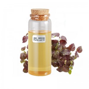 Wholesale Cinnamaldehyde Oil - 100% Natural Pure Fatory Wholesale High Grade Aromatherapy Massage Mugwort Essential Oil At Best Price Hot Sale – SenHai