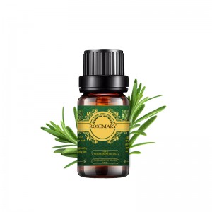 OEM/ODM Factory Lemon Eucalyptus Oil - organics 100% pure refreshing Rosemary Essential Oil for Diffusers and  Hair Skin – SenHai