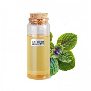 100% natural pure fatory wholesale therapeutic grade Aromatherapyskin care Spearmint Essential oil at best price
