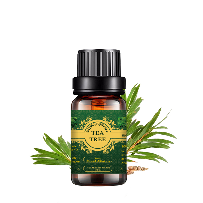 OEM Supply Mugwort Essential Oil - 100% Pure Australian Tea Tree Essential Oil with high conc. of Terpinen for skin care and fighting acne – SenHai