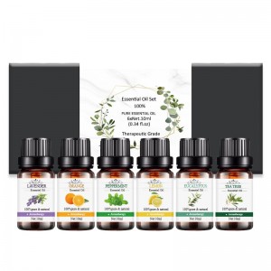 Hot Selling Customized Label Aromatherapy Essential Oil Gift Set (6pcs/pack)