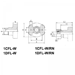 Sae Flange With Standard Series