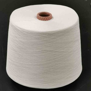 Cotton Spun Yarn 2/30s 100% Lyocell prezio merkean Ring Spun Yarn