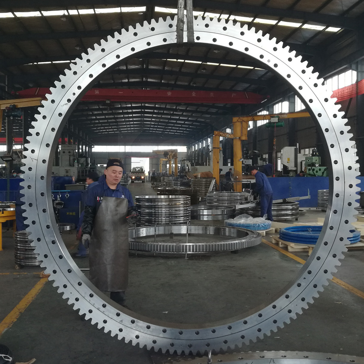 slewing bearing for cranes (1)