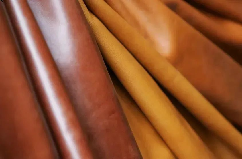Bangladesh fears slowdown in future leather sector exports
