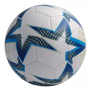 Soccer Ball-Fergees Sample kleurich oanpast printe logo