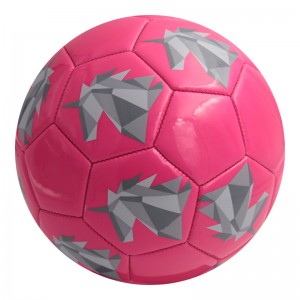 Soccer Ball–Gipasadya nga Mga Detalye ang Giabiabi
