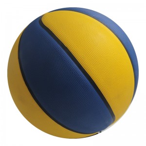 Basketball–Custom Design Exercise Ball