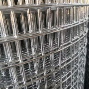 Galvanized welded wire mesh for poultry fencing
