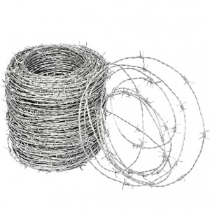 Double twisted barbed wire fence
