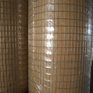 Galvanized welded wire mesh for poultry fencing
