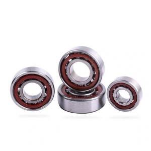 New Delivery for Types Of Pedestal Bearing - Angular Contact Ball Bearing – Shining Industry