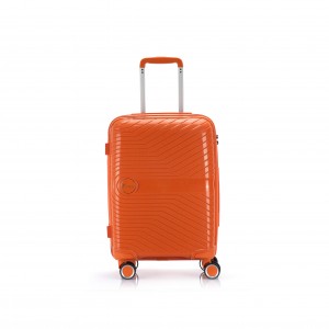 Ручной чемодан, багажная тележка для самолета
