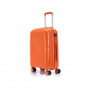 Hand Koffer Gepäck Fliger Trolley Fall