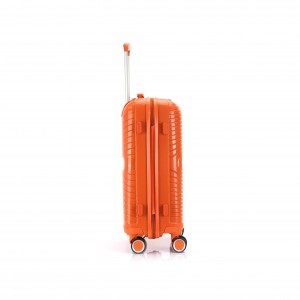 Hand Koffer Gepäck Fliger Trolley Fall