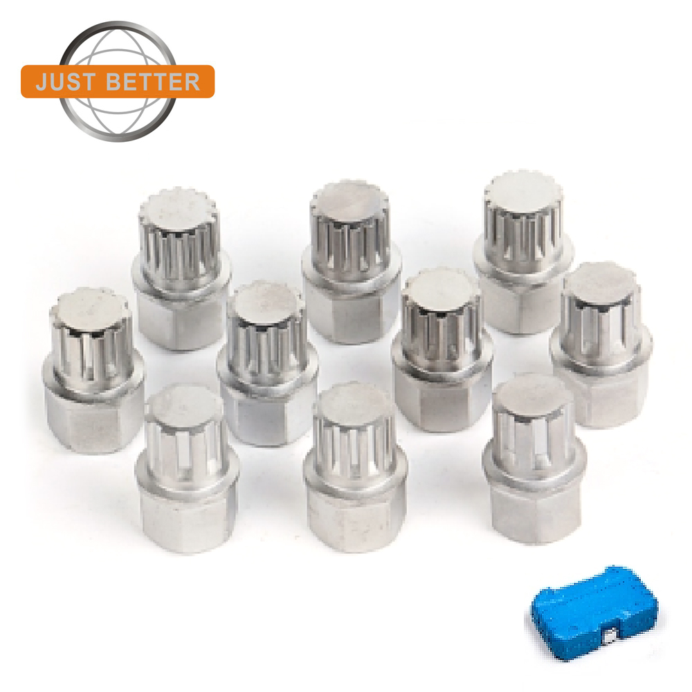 Manufacturing Companies for Dent Removal Repair Tool Kit - 10pcs BMW wheel lock screw socket set  – Just Better