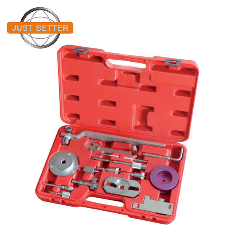 Wholesale Price China Paintless Dent Golden Repair Tools - BT1699 Timing Tool Set for FLAT and PSA Engines  – Just Better