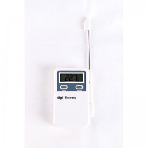 OEM Best Electronic Thermometer For Fever products - Food electronic thermometer WT-2 for kitchen –  Sanhe