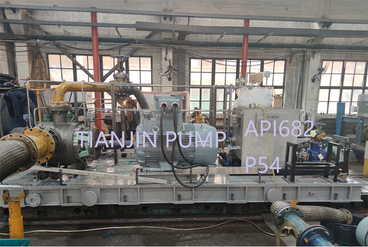 Crude Oil Twin screw pump with API682 P54 flush sysetm