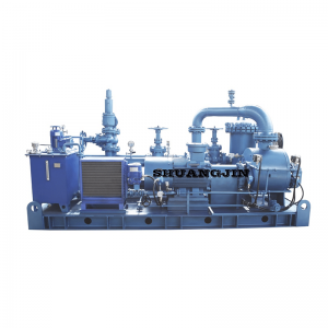 MW serial Multiphase Twin Screw pump